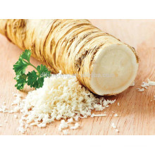 raw horseradish root powder price with grade A